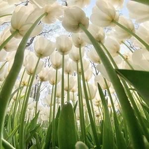 Meet your Posher, Mayra